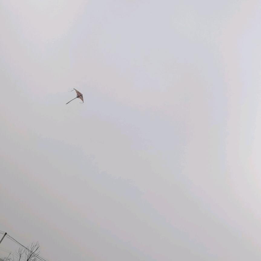 我是你
