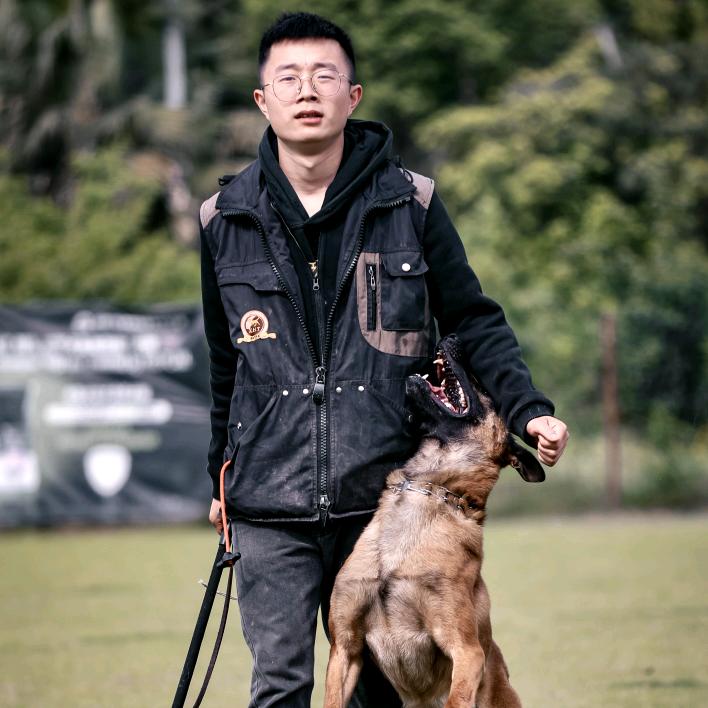 乐山爱马人宠物训练学校