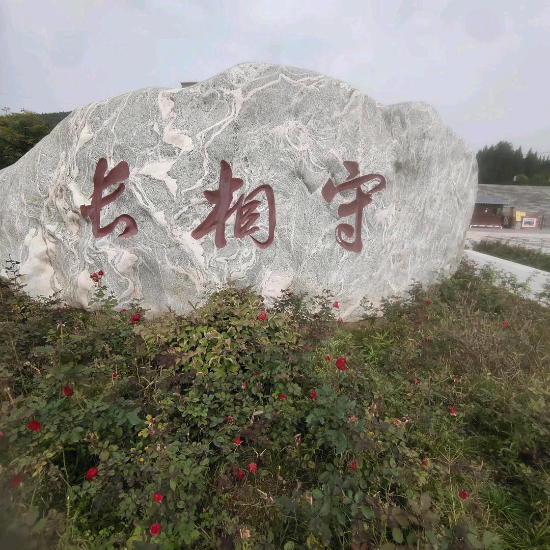 孟总