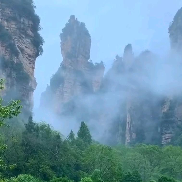 @Terry-tang