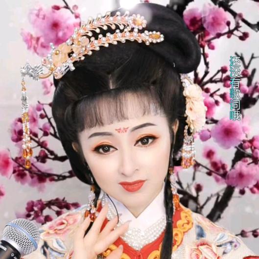 黄梅戏影子🐷