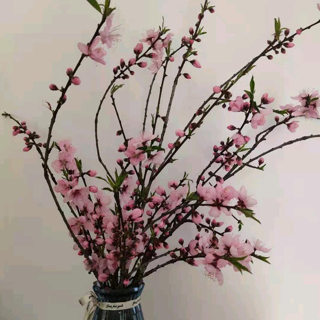 ☞小合☜