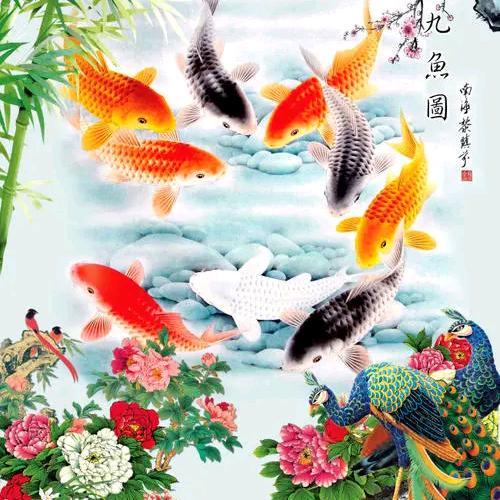 悠然自乐666