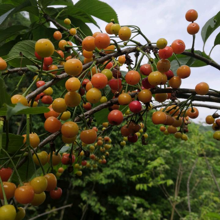 雨后彩虹