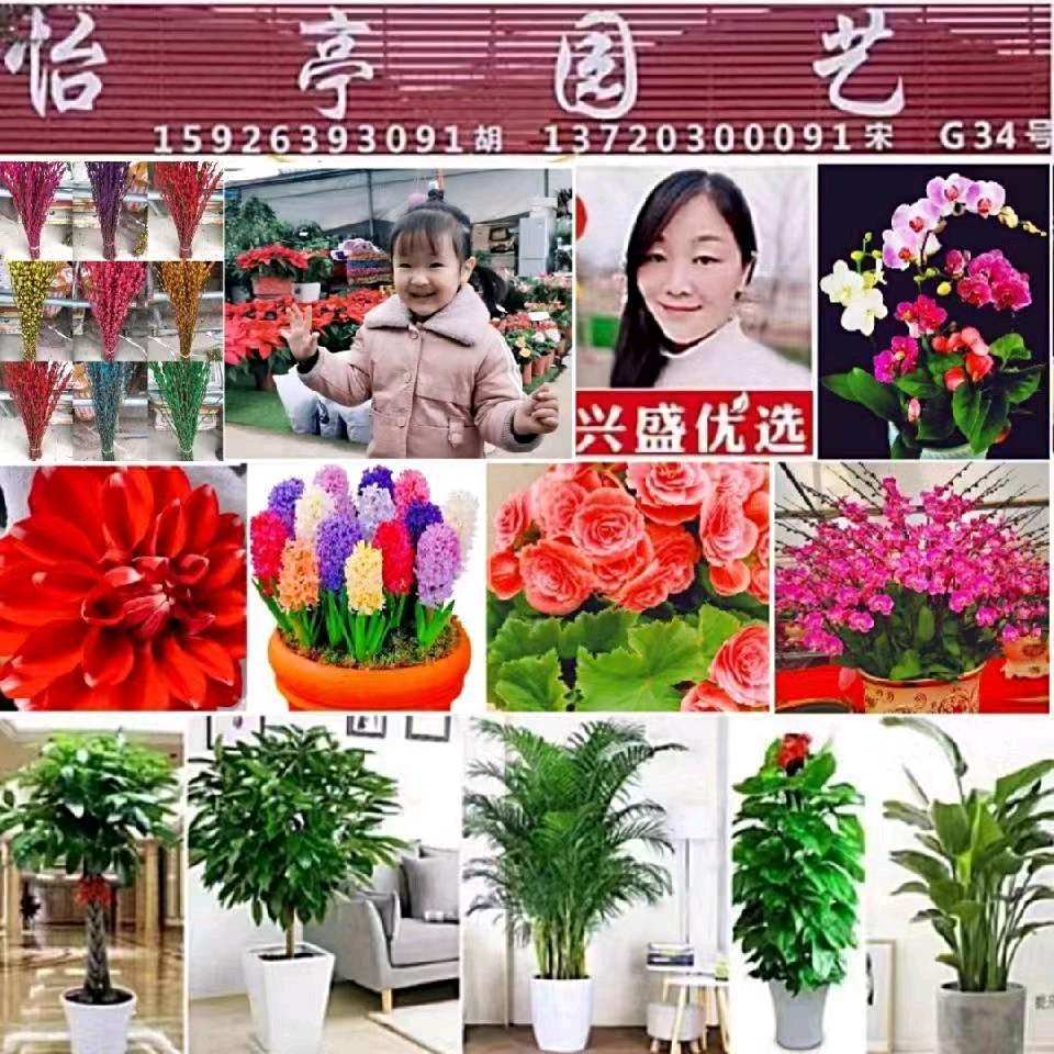 怡亭园艺G34号～雅韵园林G33号