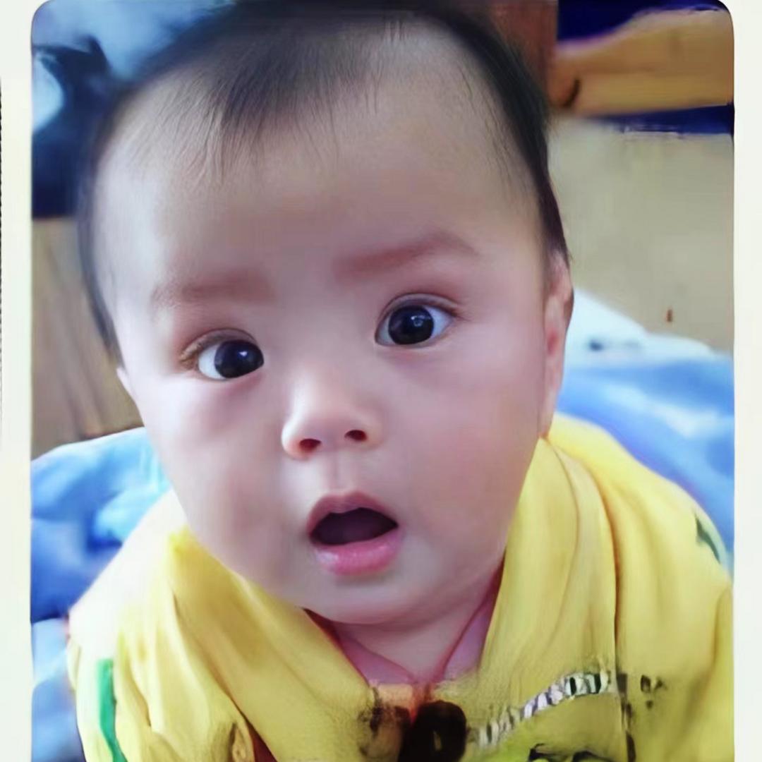 寻子陈兆元