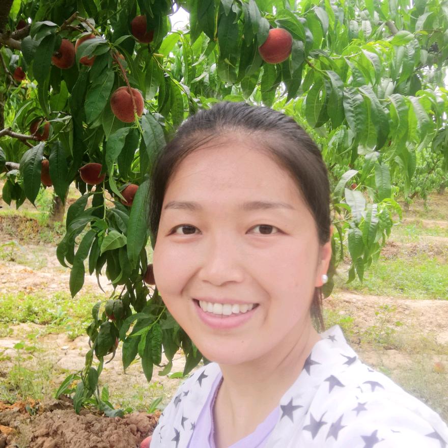 水果一姐（王衍）