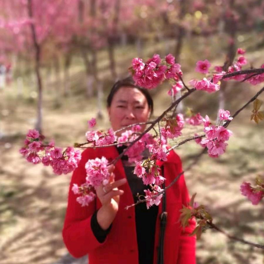 风中的承诺