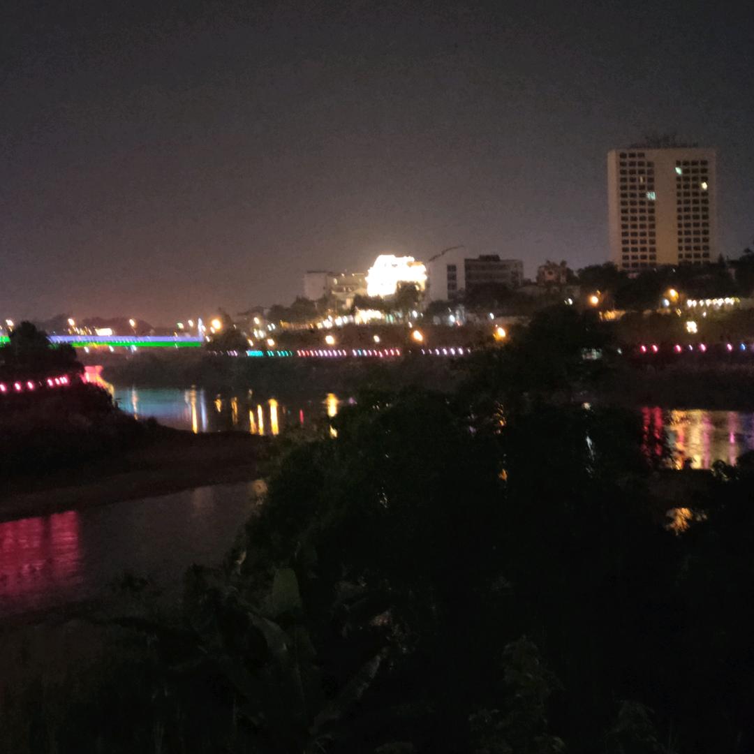 大海之木