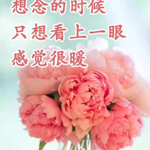 骑着蚊子看星星