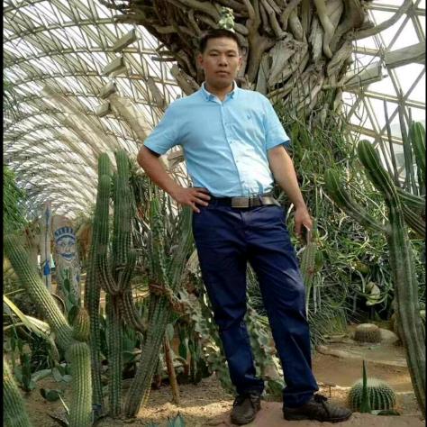 我的快乐就是想你