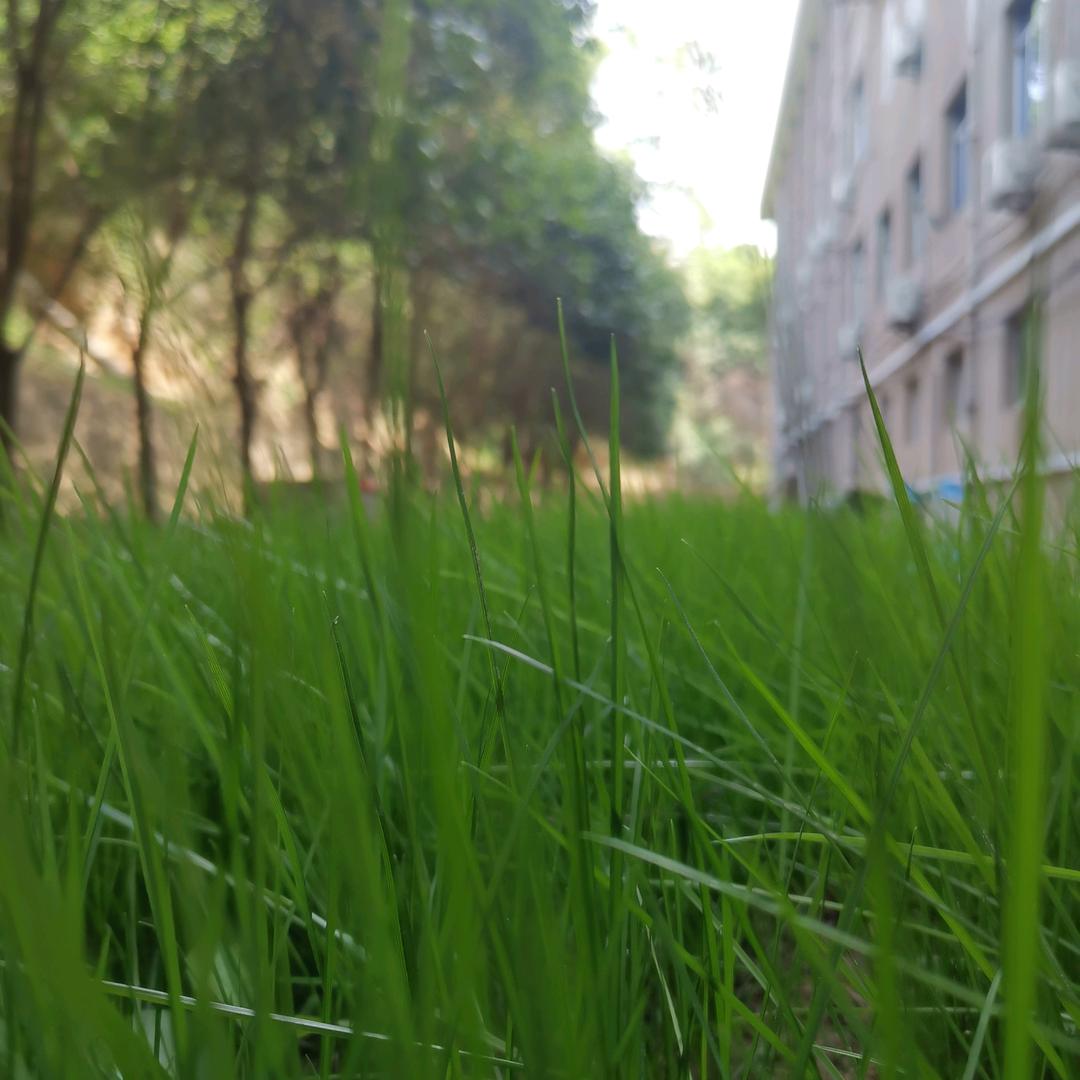 陈鹏水电安装维修装饰