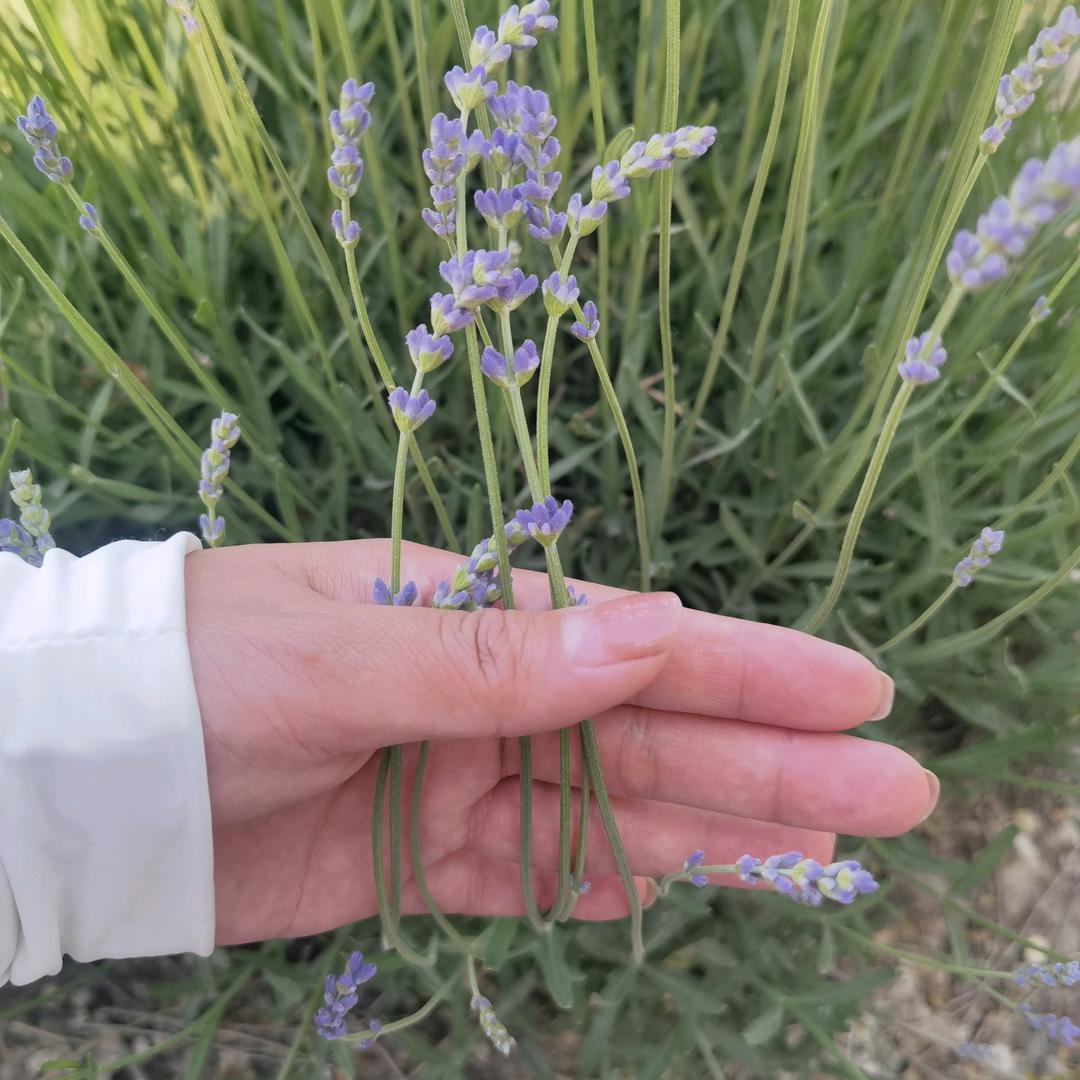 将故事写成一定会