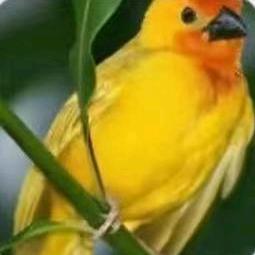 笑对人生🍃921