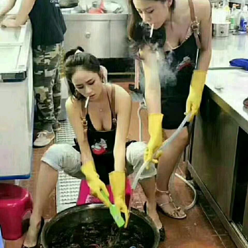 曹曹