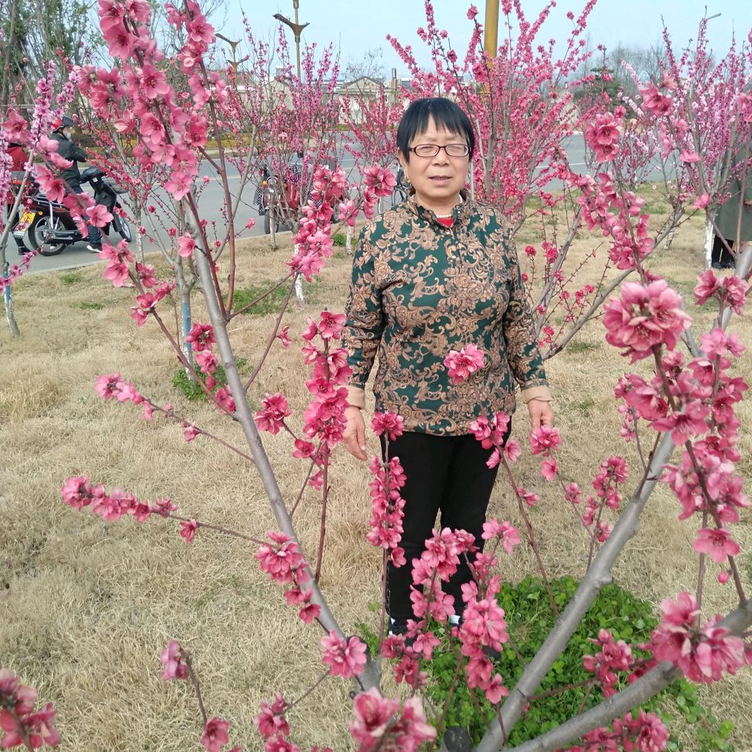 欢乐晚年