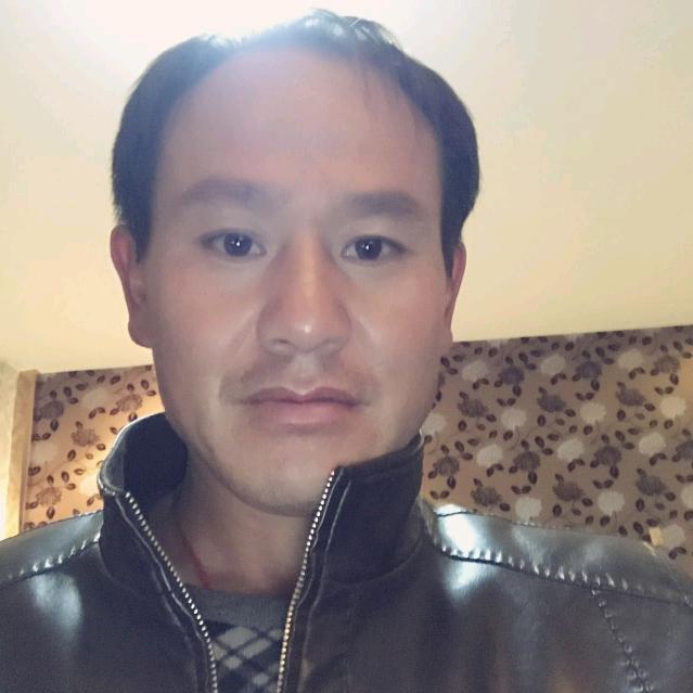 难忘美好奔哥🐍🐍🐍🐍🐍🐍