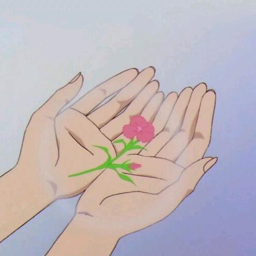 茫追风