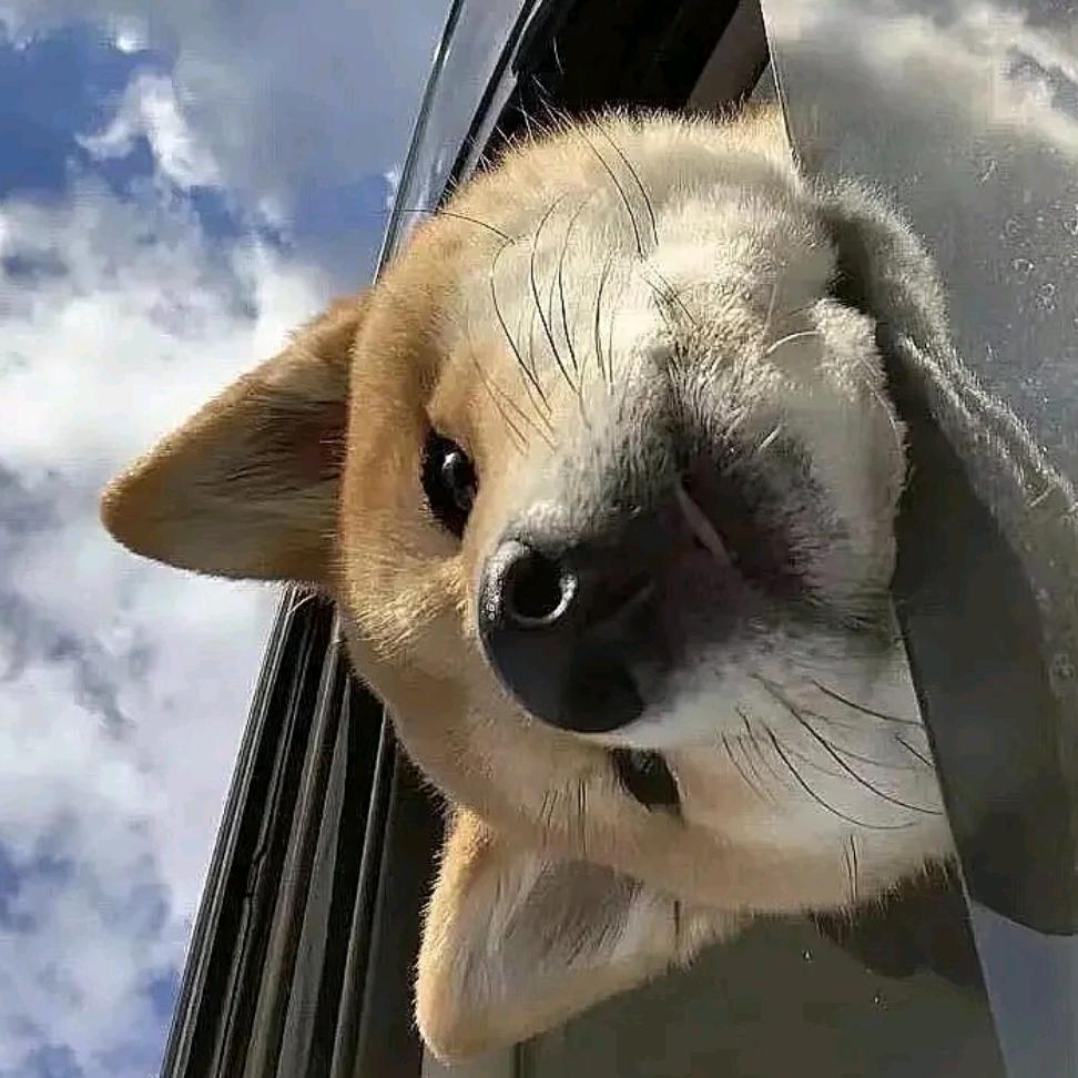 热心善良的市民