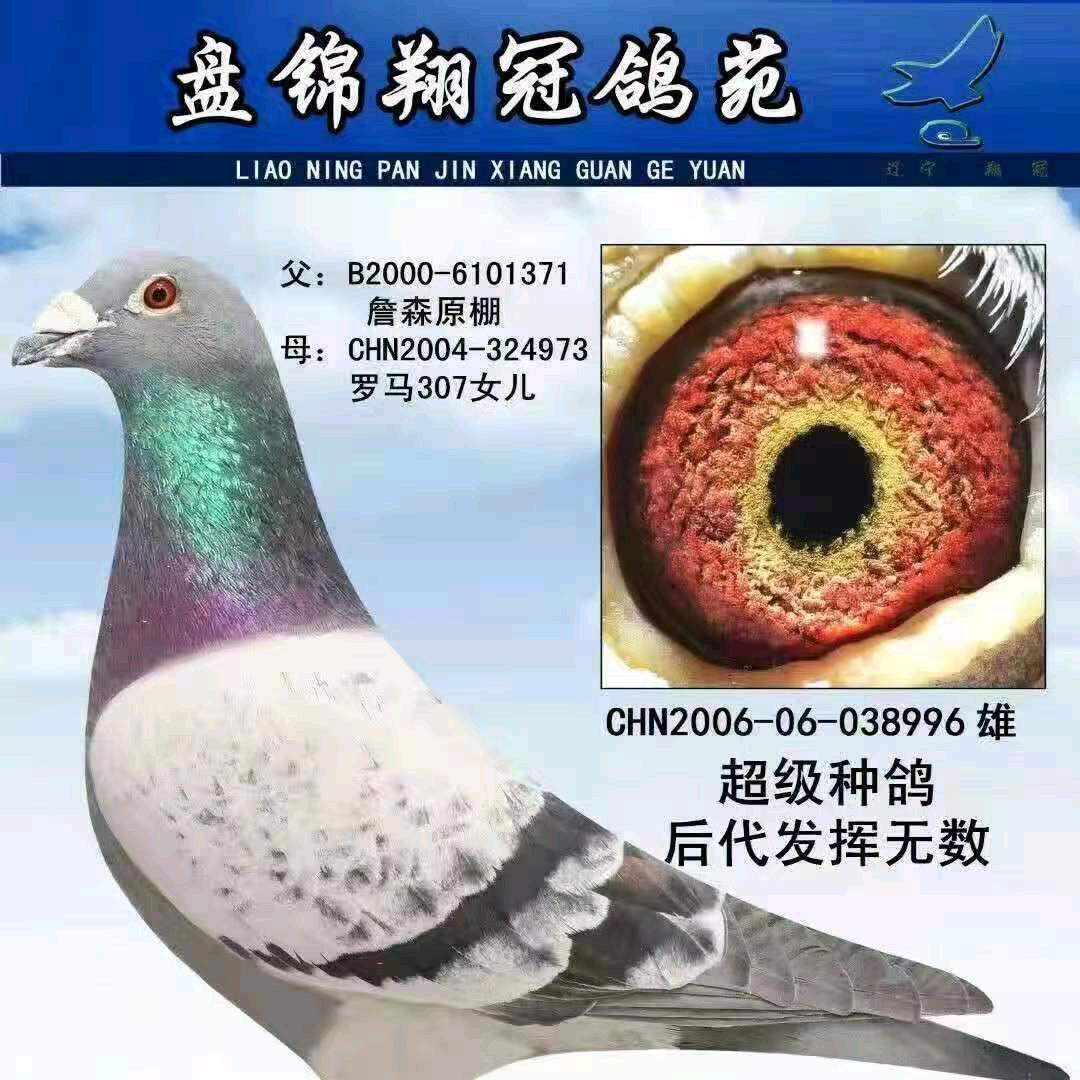 ゞ此生相守