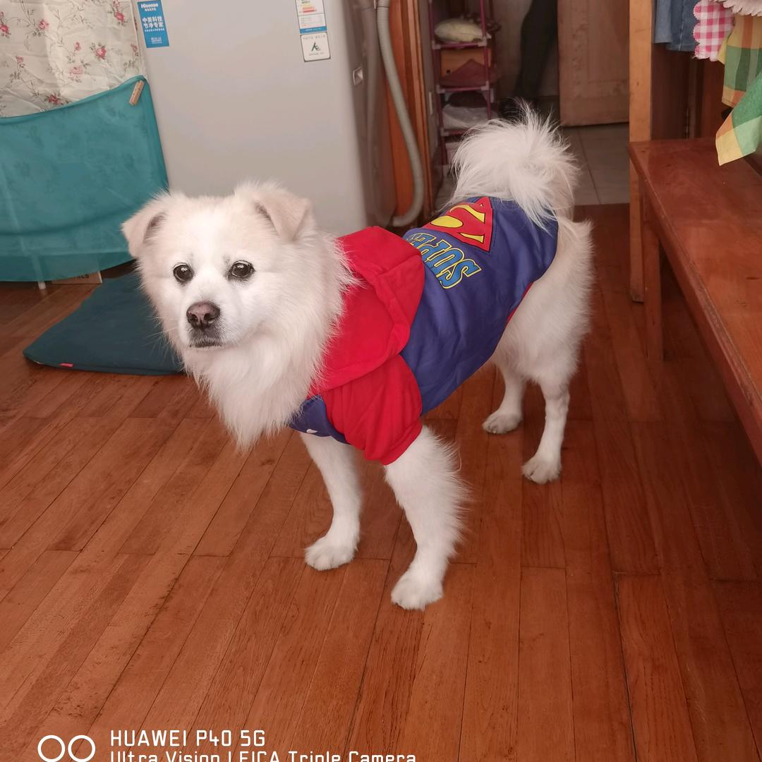 点儿点儿