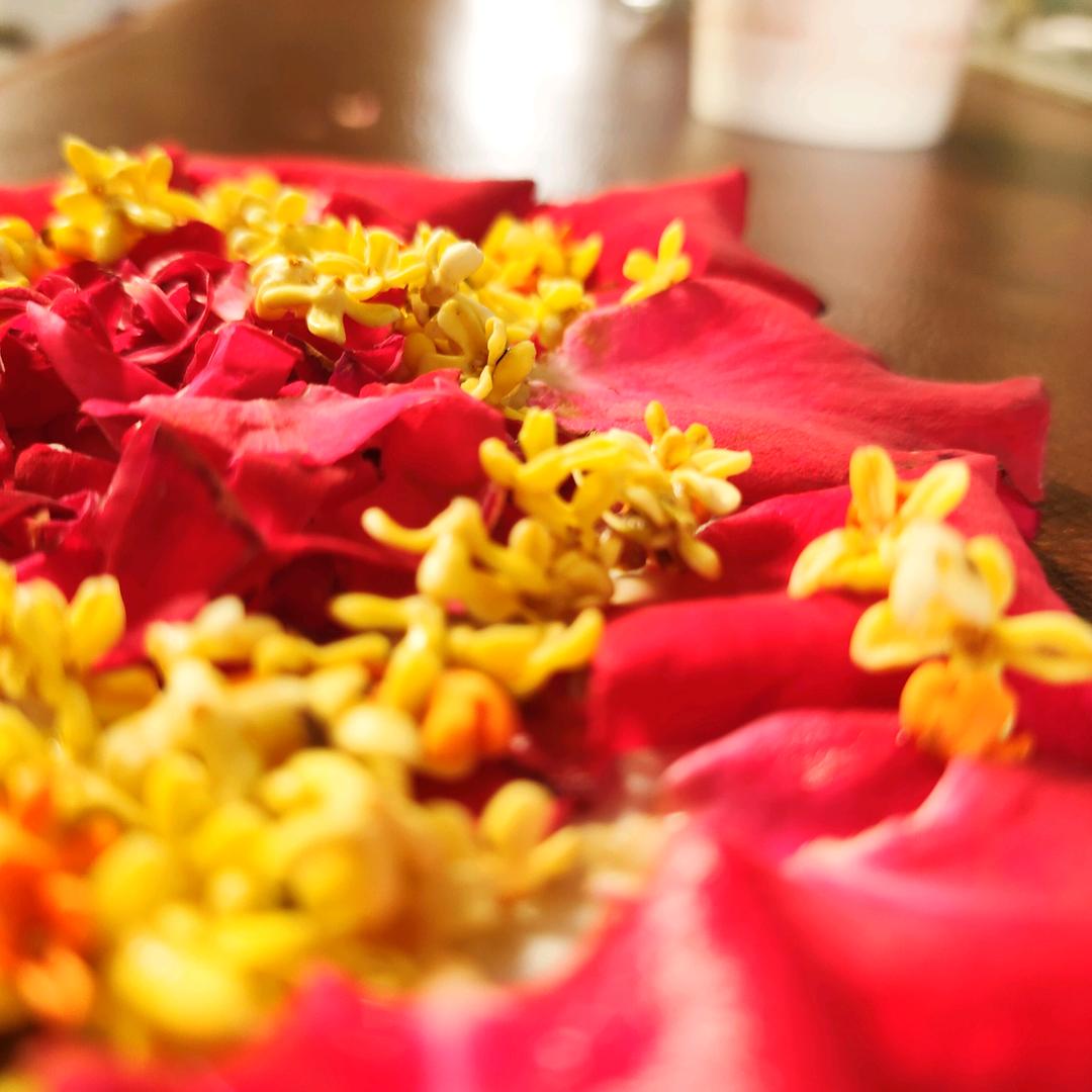 用户141847257390红尘有你