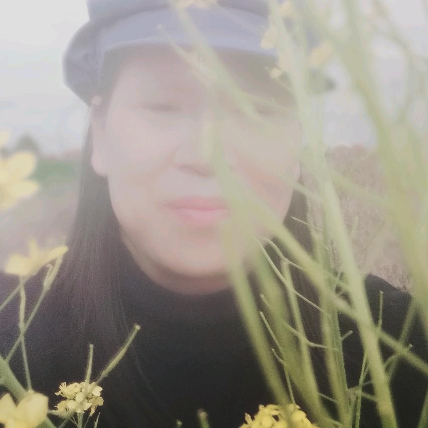 小揭