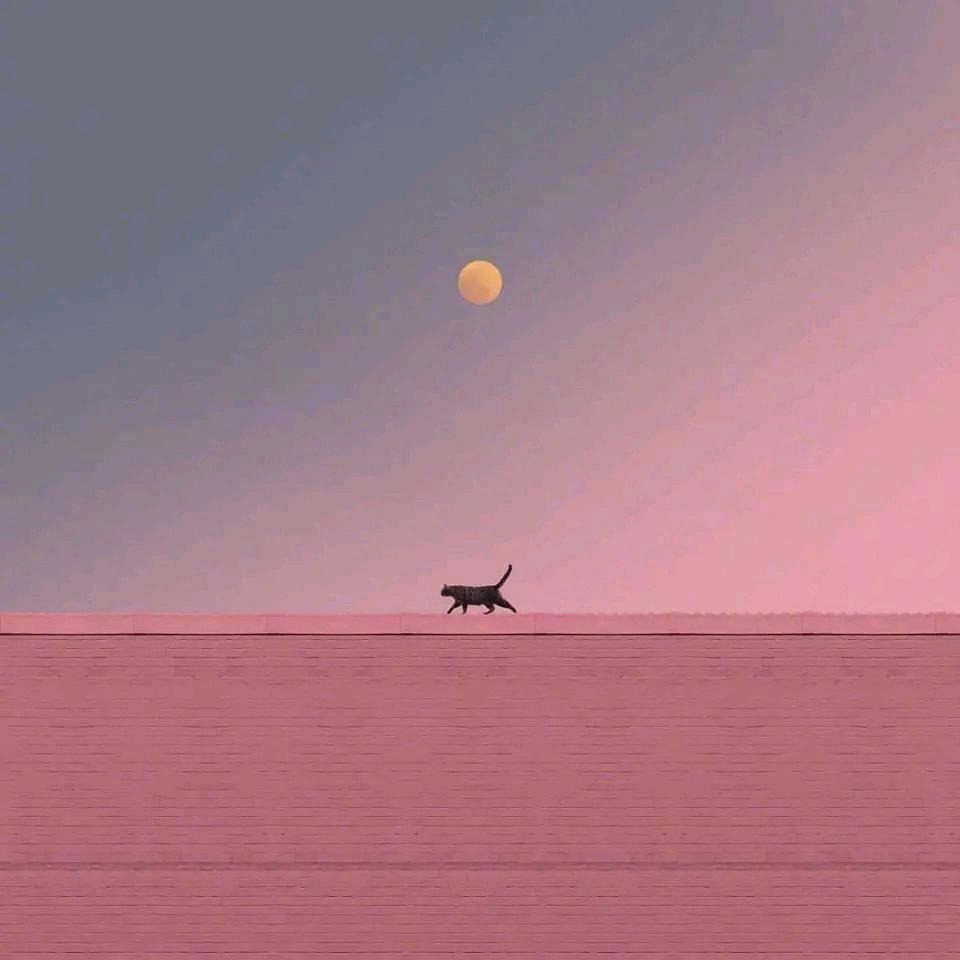澜漪