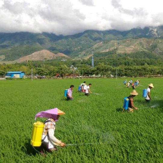 蟹勐焕（卖农药老阿姨）