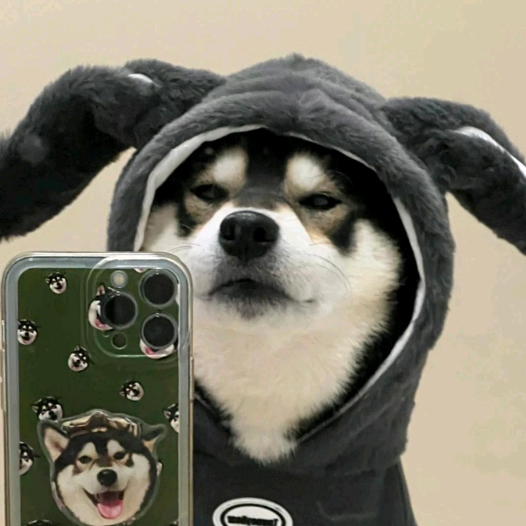 小高不想上班