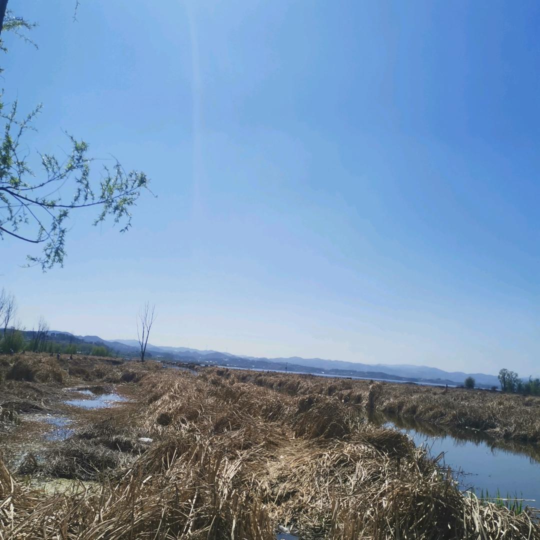 淡然y