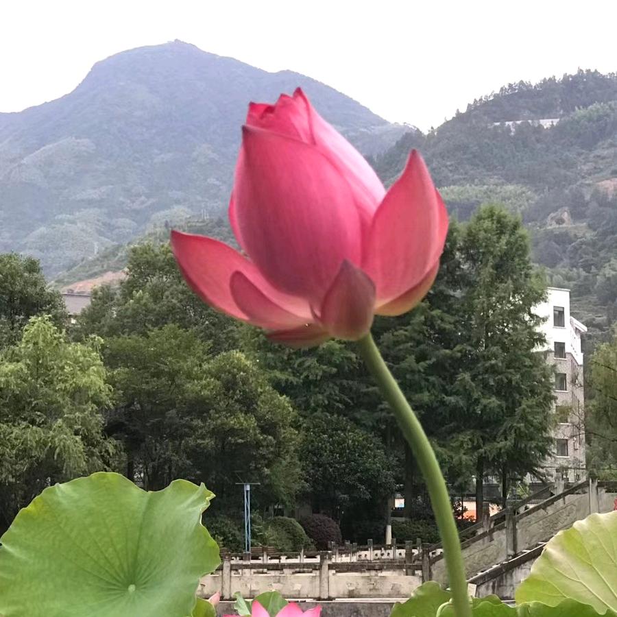 北京76630