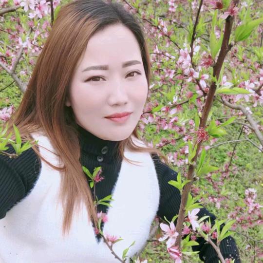 百味西兰花