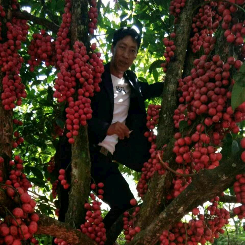 单身的我💐🌷🌷有缘来相会🌹🌹