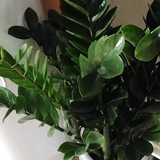 不忘初心漫漫人生路