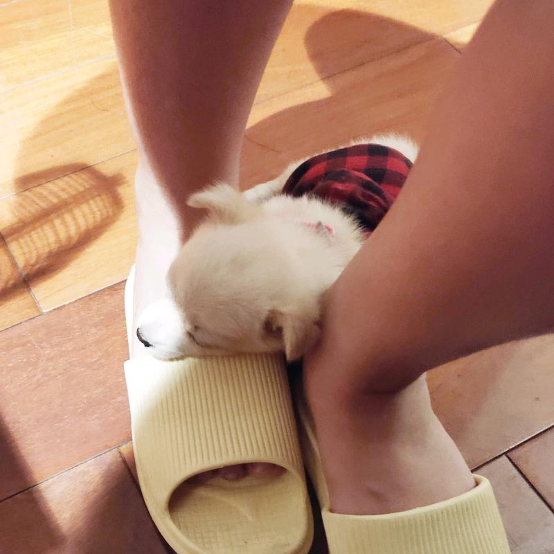 茉奈媞护肤