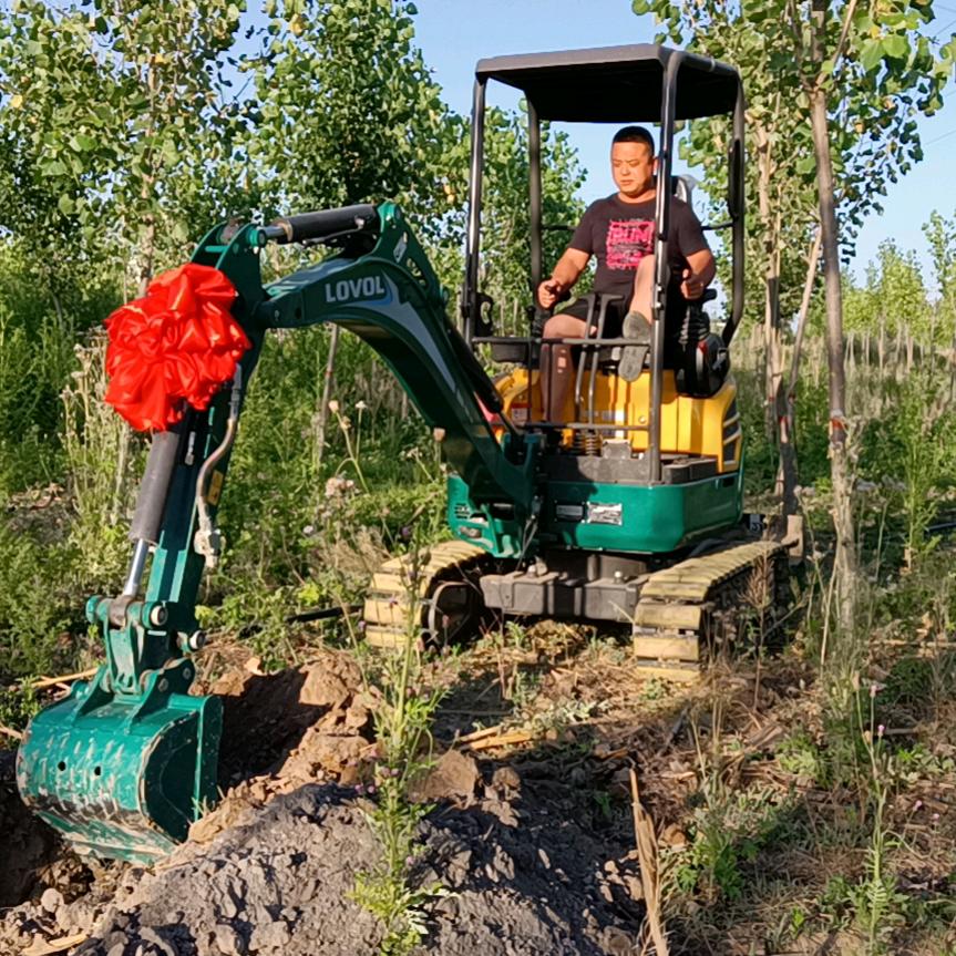 微挖拆除，挖树伐树清理树。