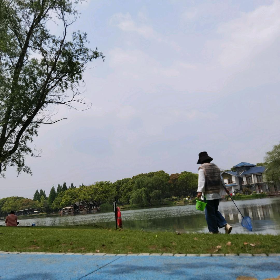 兔子的夏天