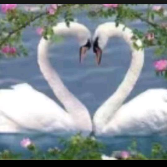 我不美但很真实