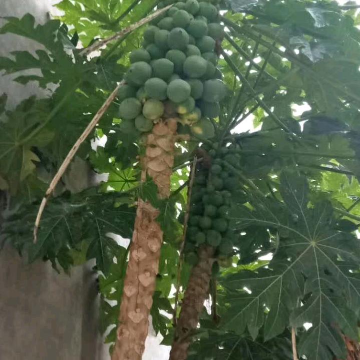 拥有幸福的快乐