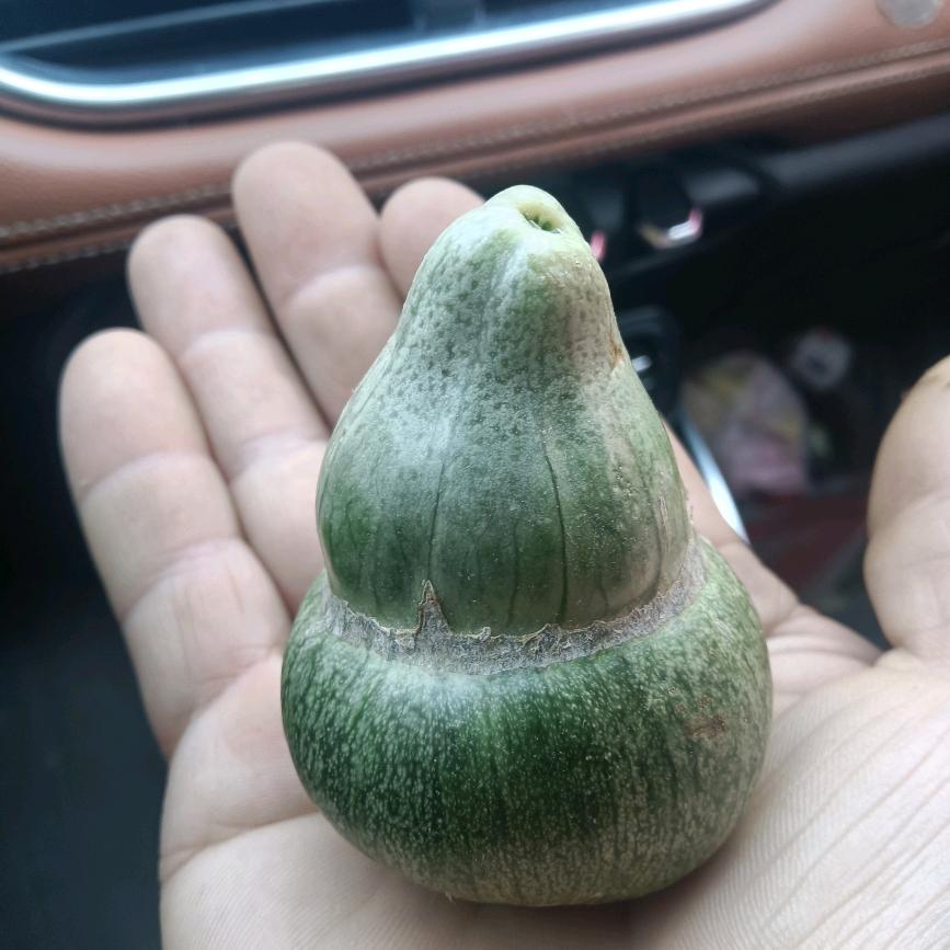 枣庄新家美装饰公司