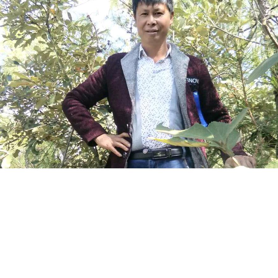 追梦