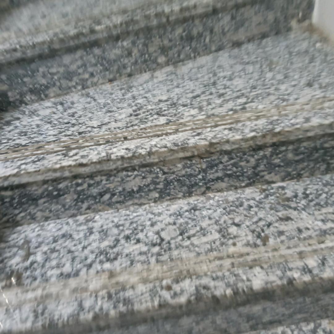 浊污泥而不染