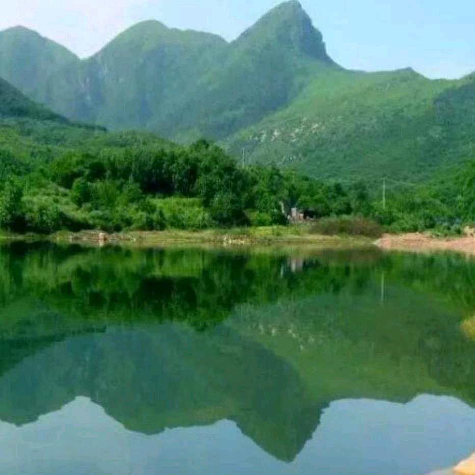 我要东山再起
