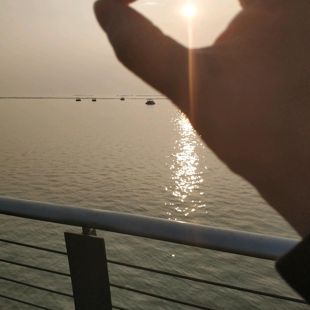 暖阳爱分享