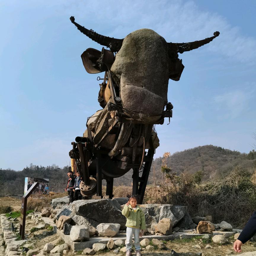 信阳看房团