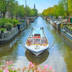 上海精神与智障类研究 主任