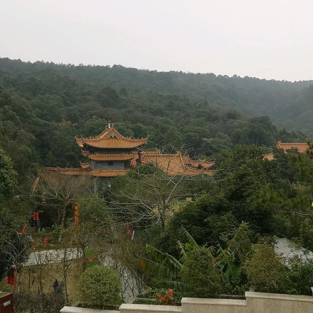 东莞顺心店