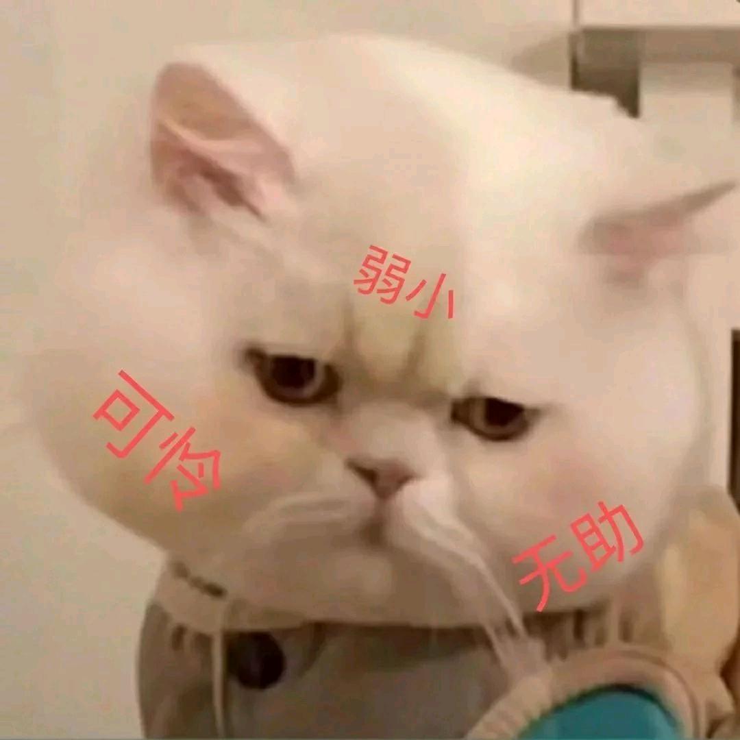 皮卡丘丘