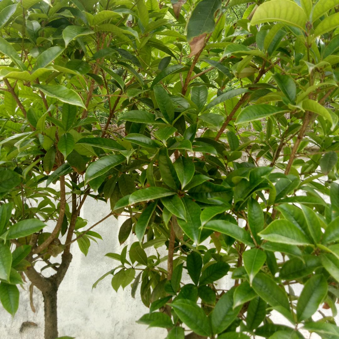 土涛豆✊✊✊✊✊